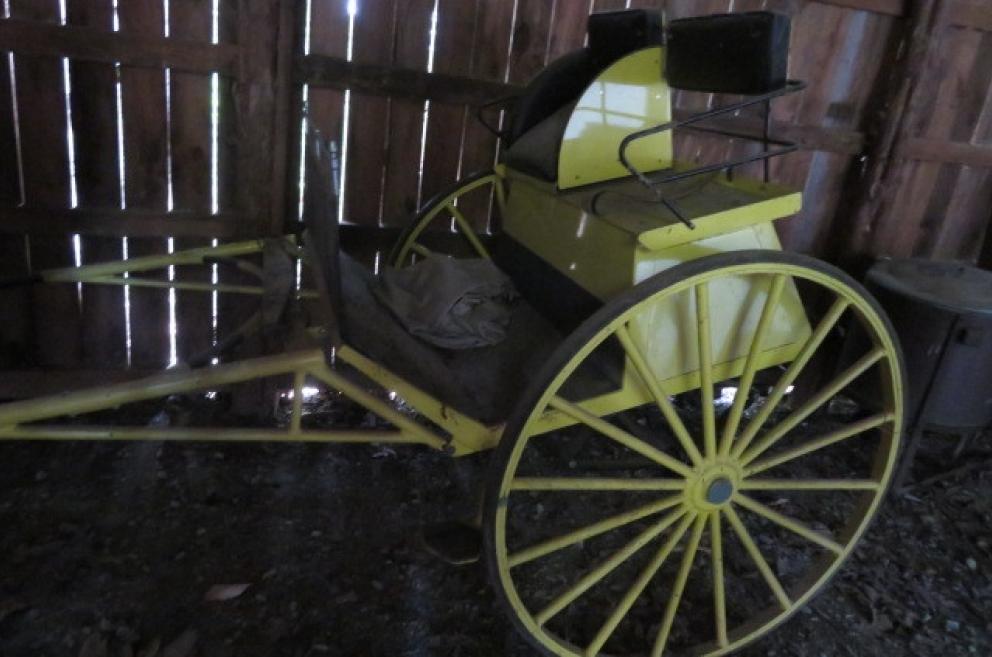 Image for New Years Day Catalog Sale