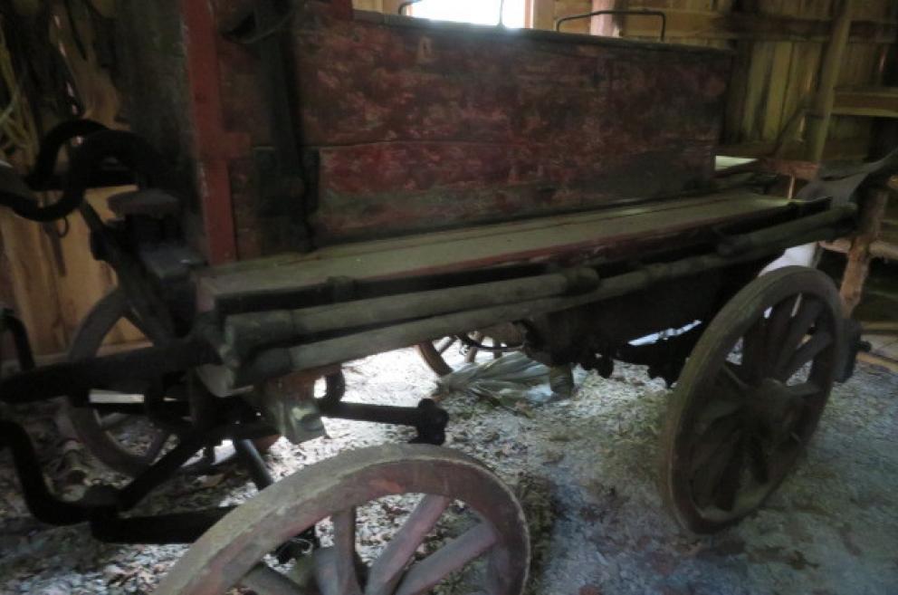 Image for New Years Day Catalog Sale