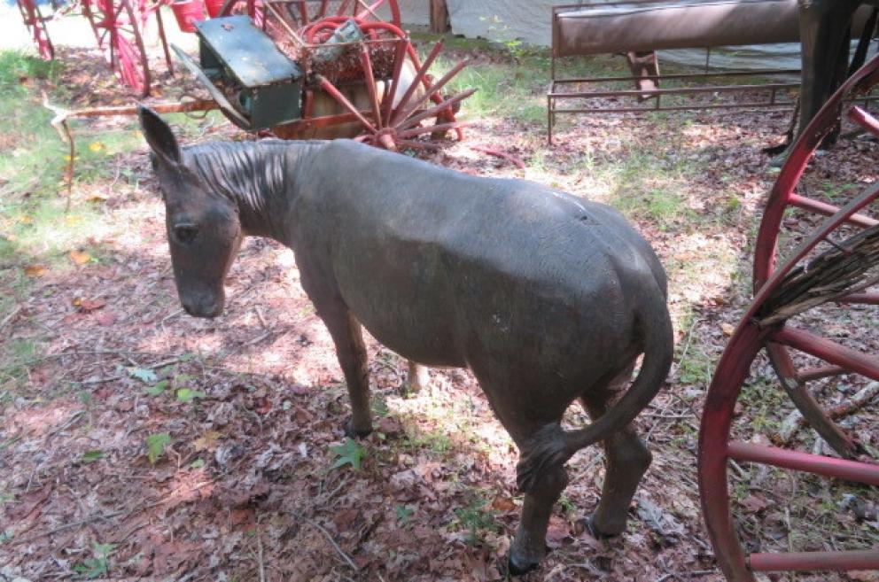 Image for New Years Day Catalog Sale