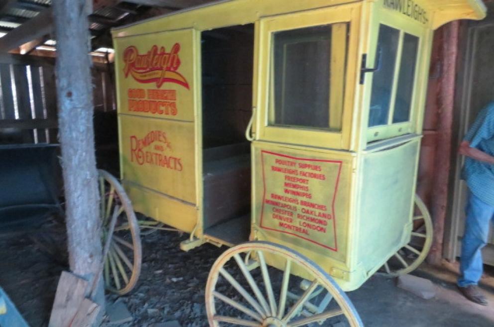 Image for New Years Day Catalog Sale