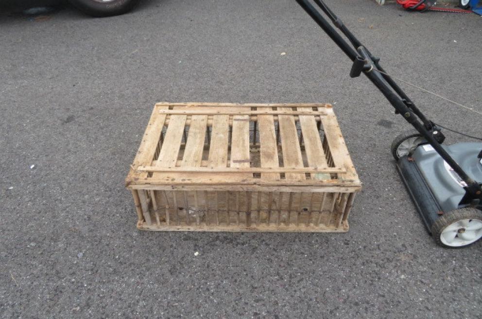 Image for Kubota Tractor, Vehicles, and More!