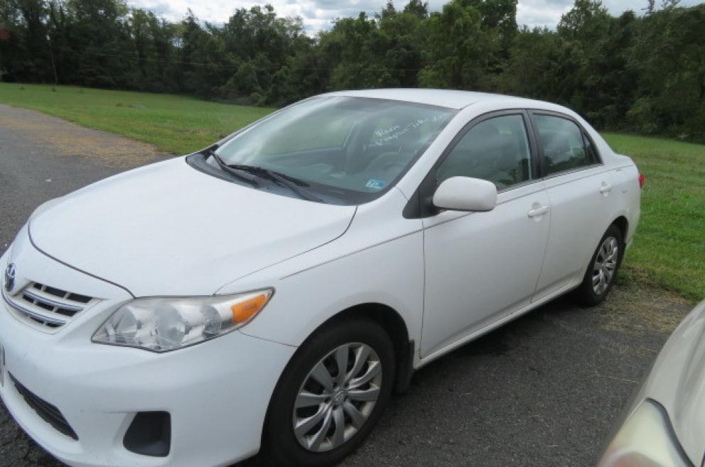 Image for MCM and so much More!