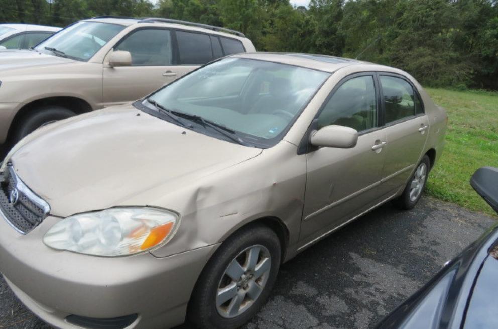 Image for MCM and so much More!