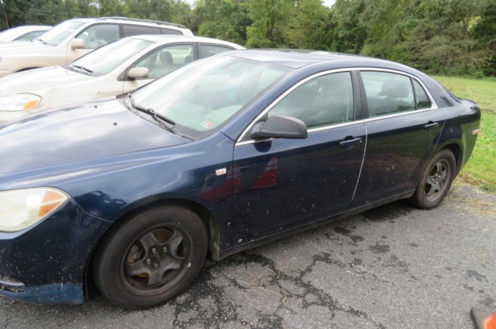 Image for MCM and so much More!