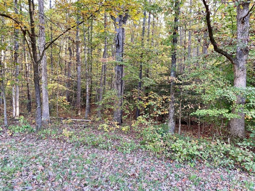 Image for 55.16 +/- Acres of Desirable Land Fronting Smith Station Rd. w/3 BR Home & Outbuildings