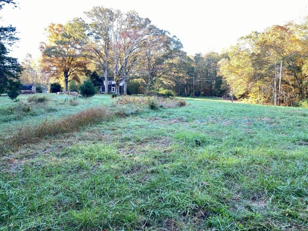 Image for 55.16 +/- Acres of Desirable Land Fronting Smith Station Rd. w/3 BR Home & Outbuildings