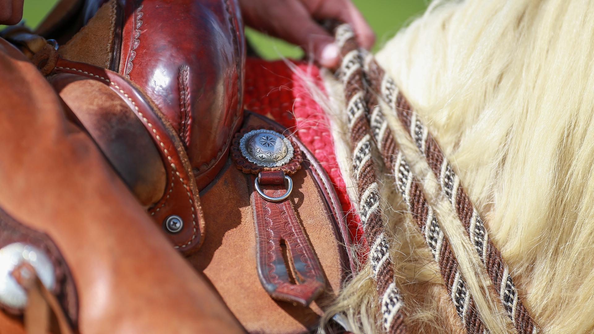 Shutterstock 1748012696