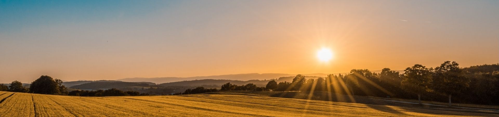 Photo-1500382017468-9049fed747ef