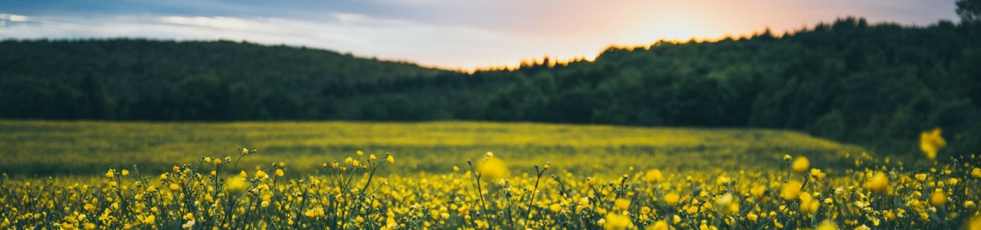 Photo-1487202212798-4f11d5c8f57d