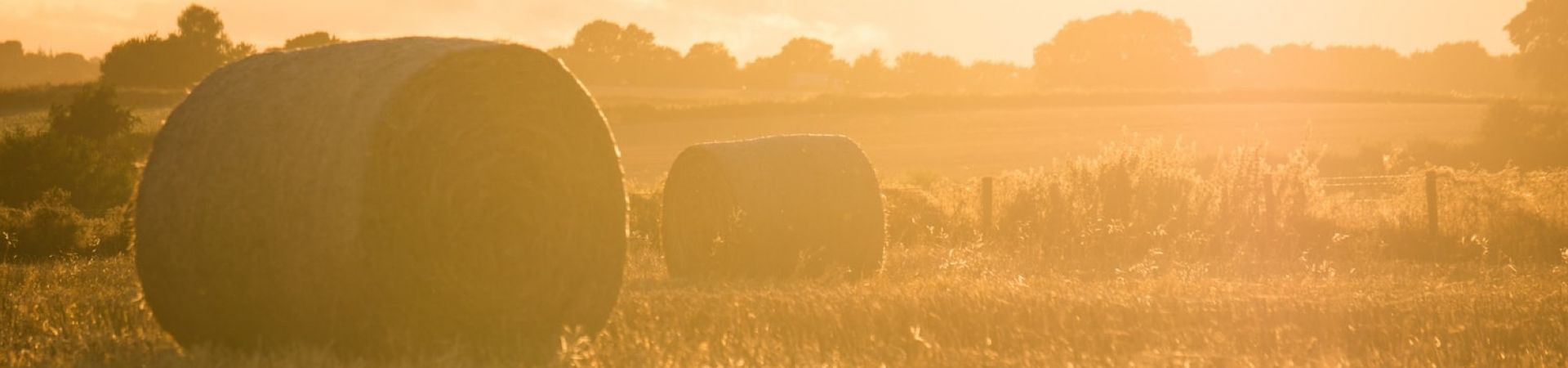 Photo-1470685983317-0084951ce1ca