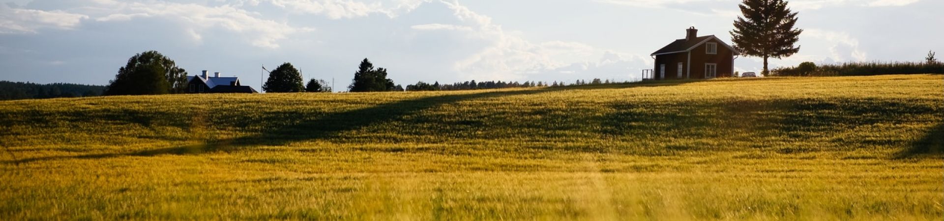 Photo-1470423725703-b136e2a8254c