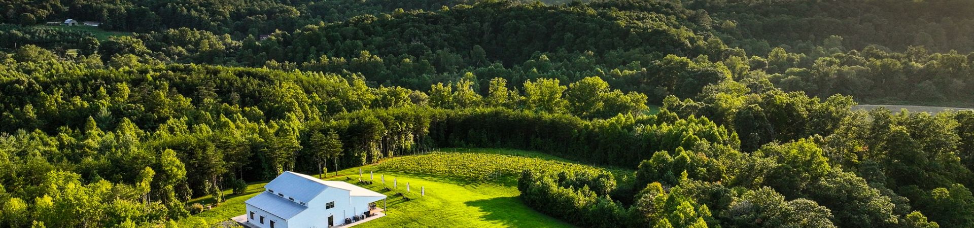 Dji 20240815190609 0014 d