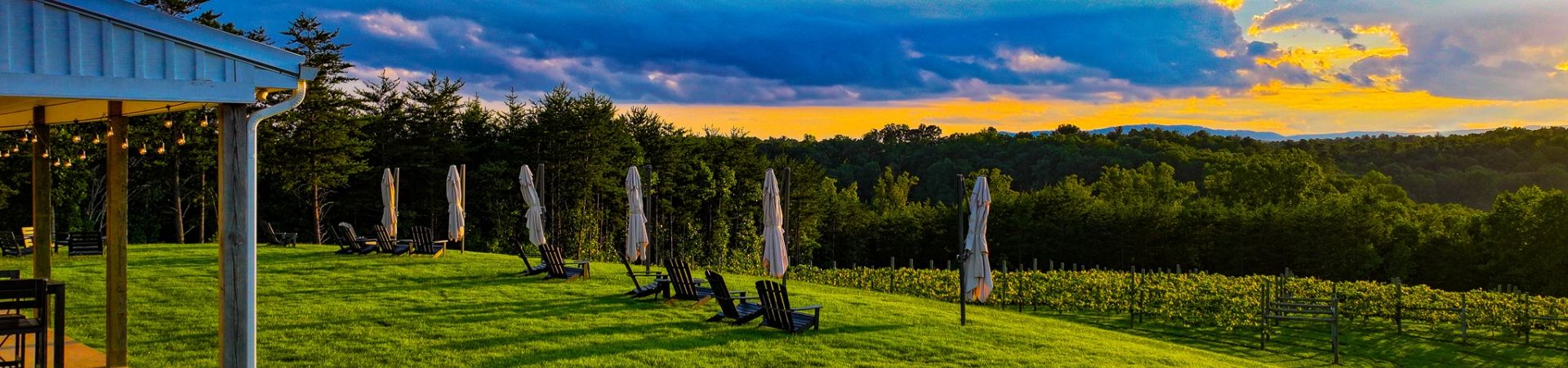 Dji 20240815190655 0017 d