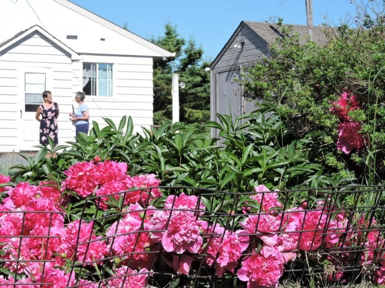 Image for Michalchuk Family Home Auction