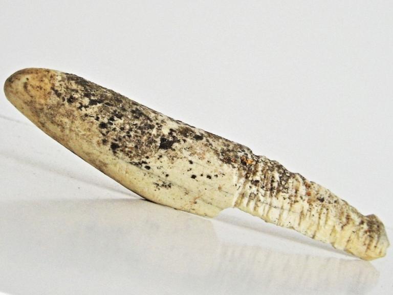 Image for THULE HARPON