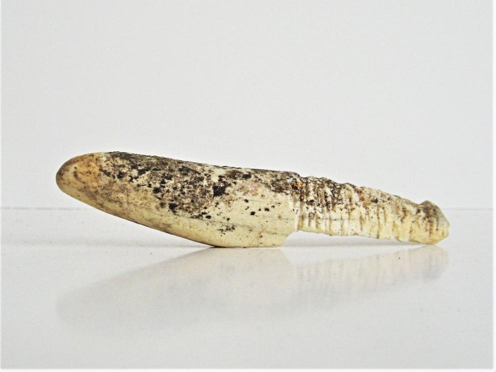 Image for THULE HARPON