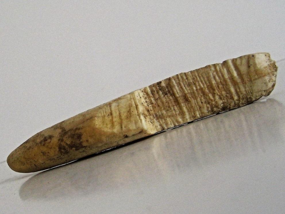 Image for THULE HARPON