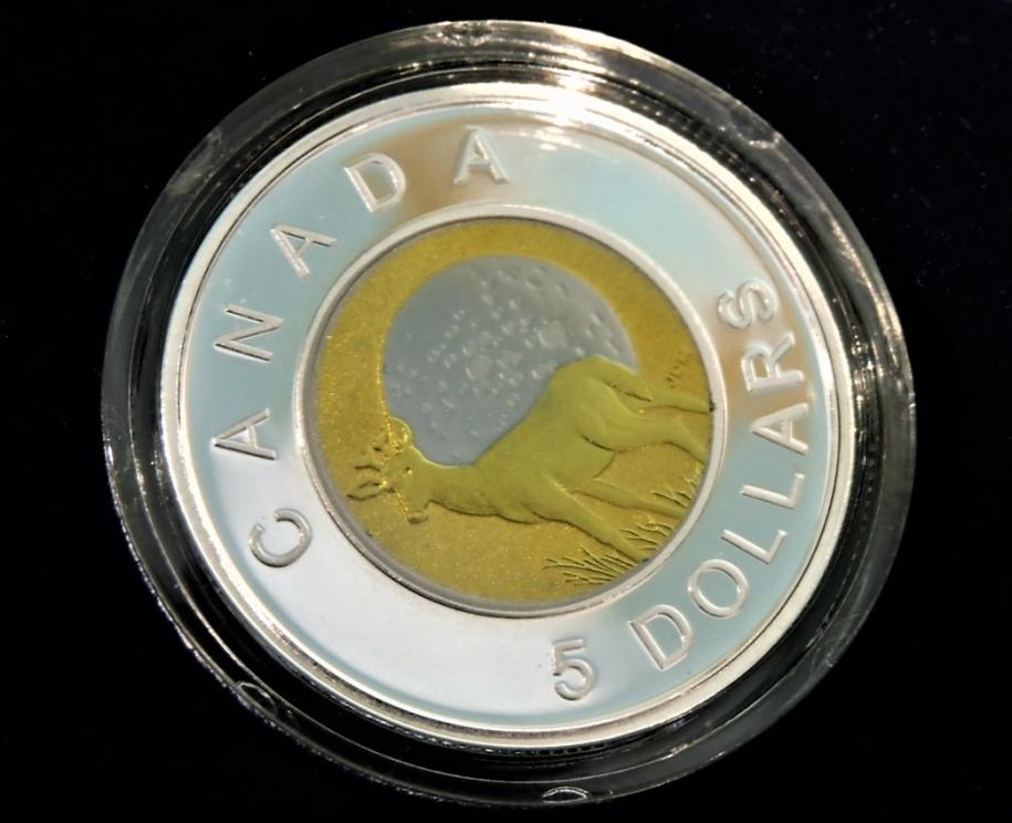 Image for MOON COINS ROYAL CANADIAN MINT