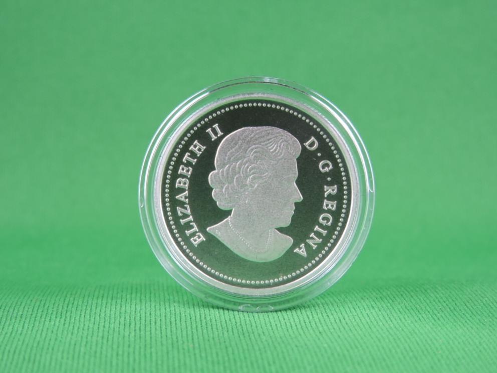 Image for THE DRAGON DANCE A CHINESE TRADITION