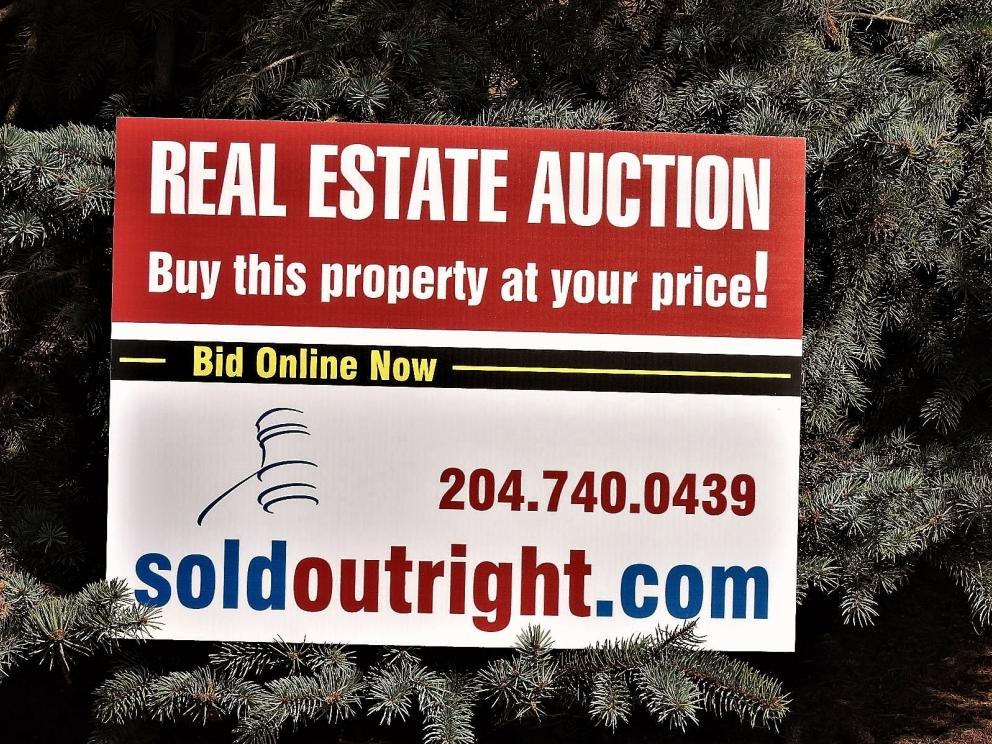 Image for REAL ESTATE AUCTION METHOD CHECK IT OUT