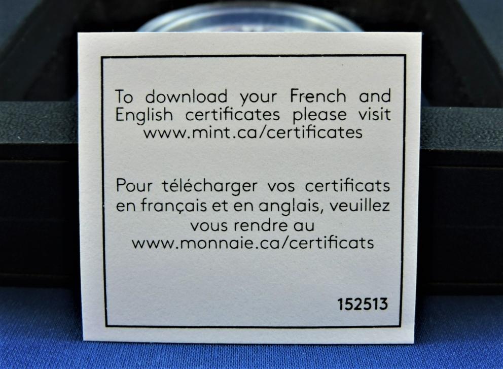 Image for FALCON OF TUTANKHAMUN