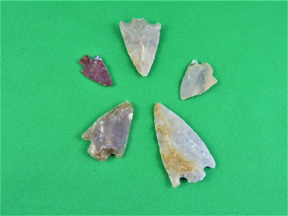 Image for ARROWHEAD COLLECTOR CLEARANCE