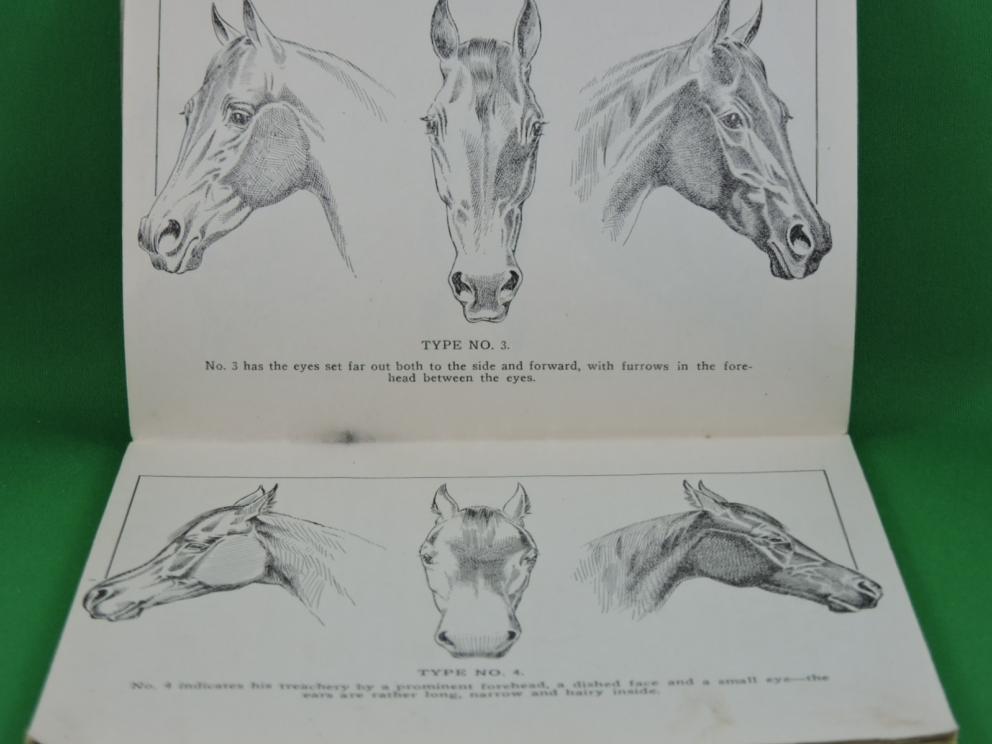 Image for Prof. Beery’s Mail Courses in Horsemanship