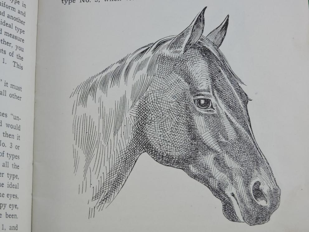 Image for Prof. Beery’s Mail Courses in Horsemanship