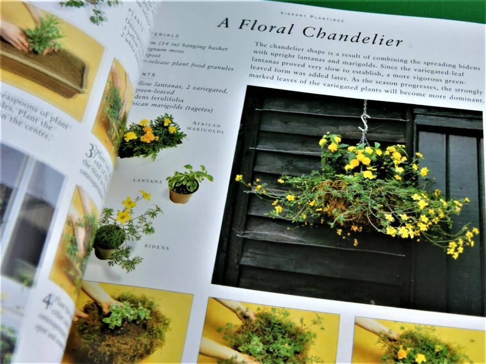 Image for The Ultimate Container Gardener by Stephanie Donaldson.