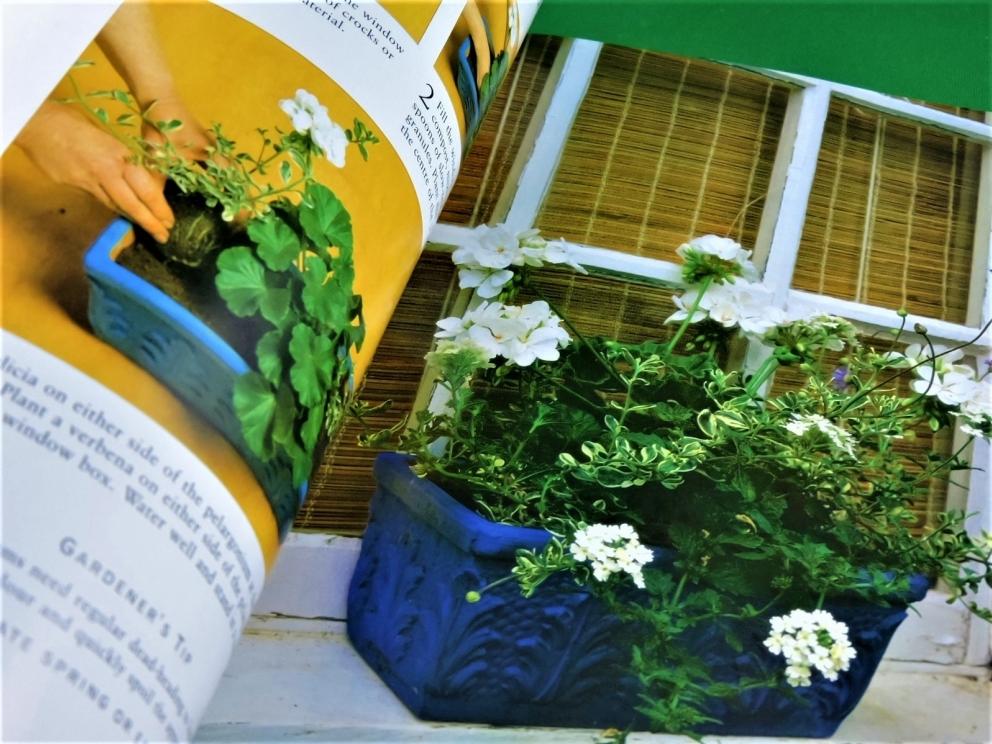 Image for The Ultimate Container Gardener by Stephanie Donaldson.