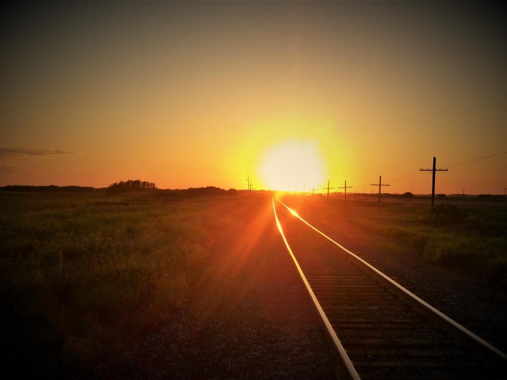 Image for COVID Pandemic - On-Line Selling & Buying Solutions