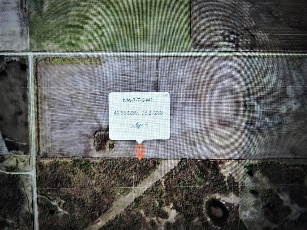 Image for Farmland Auction - Parcel #4 - NW 7 7 6WPM - Rural Municipality of Dufferin - Manitoba Canada