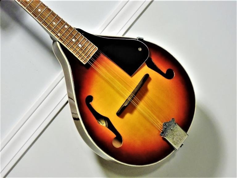 Image for COMING IN AUGUST 2021 - An Assortment of Musical Instruments