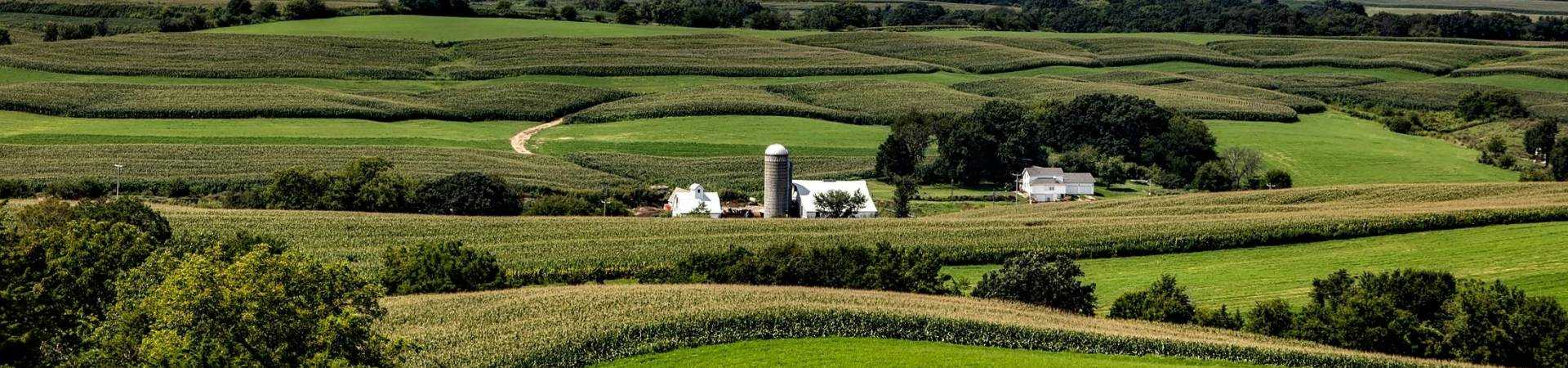 Pexels-pixabay-207058