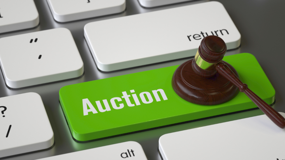 Onlineauction shenvalley