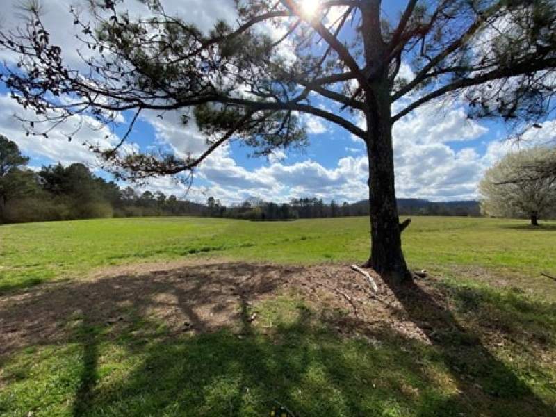 Image for 96 Acre Recreational Farm in Morgan County, Alabama