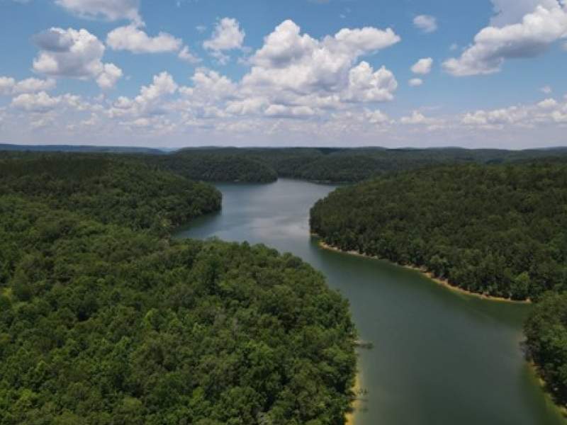 Image for 492 Acres at Inland Lake in Springville, Alabama