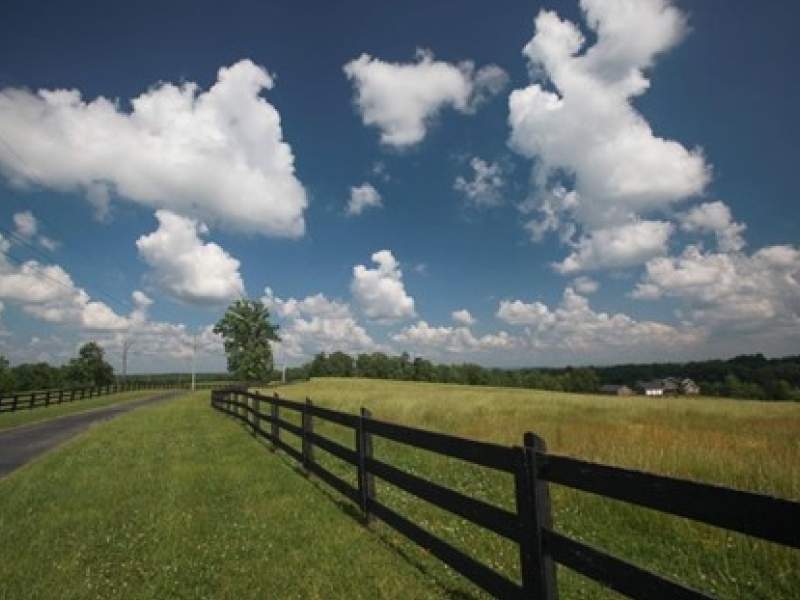Image for Coffey Farm in Oneida, Tennessee