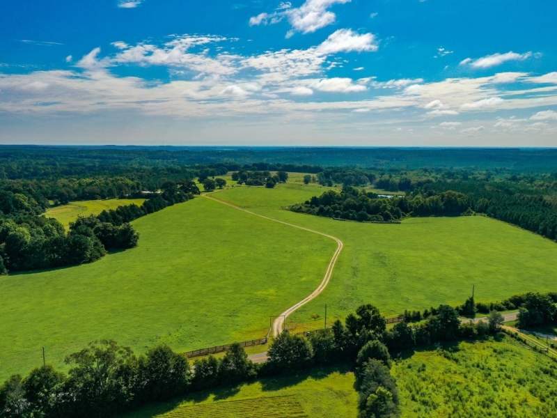 Image for Premier Home & 153 Acre Farm in Ponce de Leon, Florida