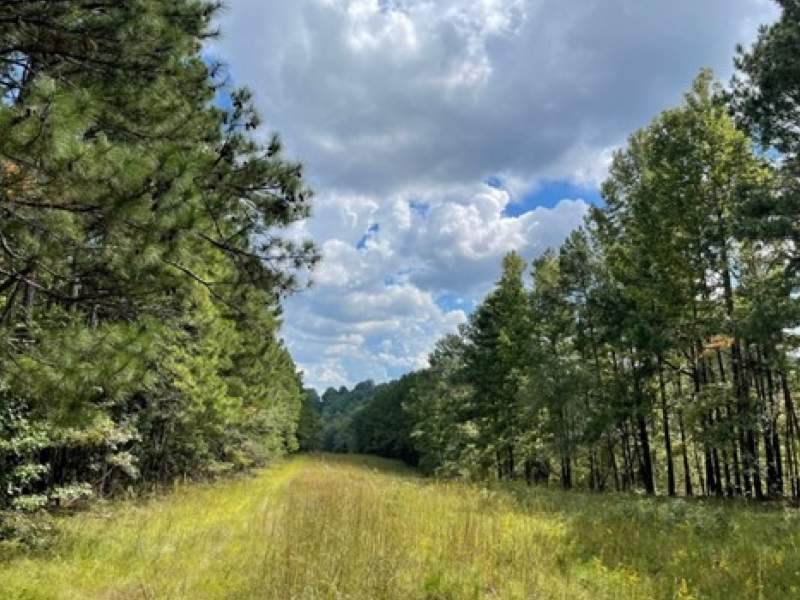 Image for 43± Acres of Development/Recreational Land in Trussville, Alabama
