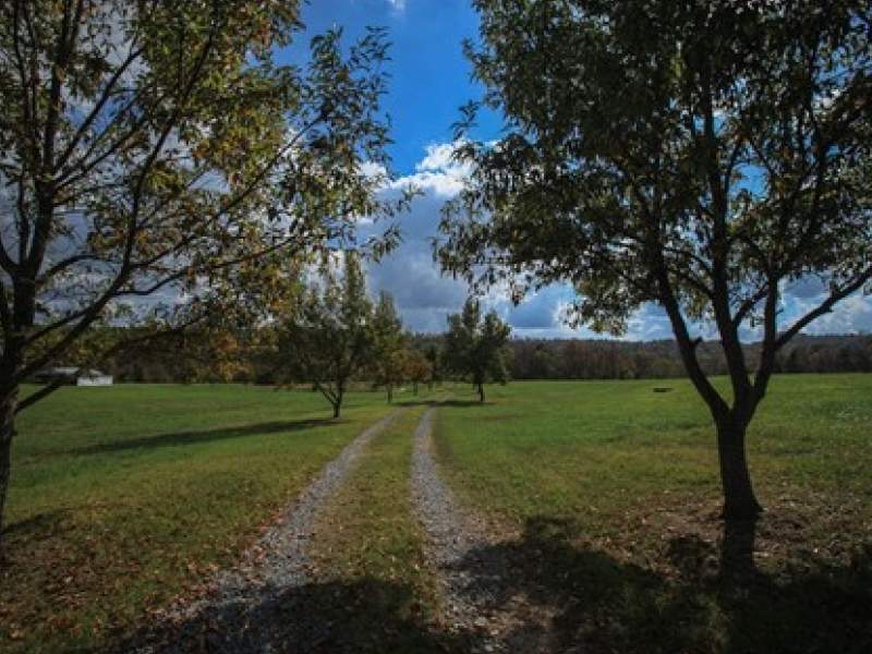Image for Shoal Creek Farm in Alabama