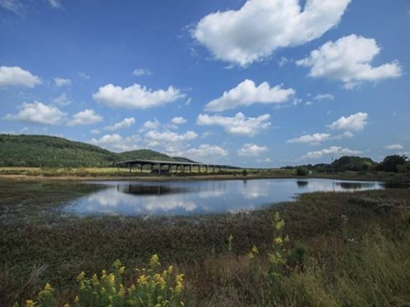Image for 477-Acre Stick Star Plantation