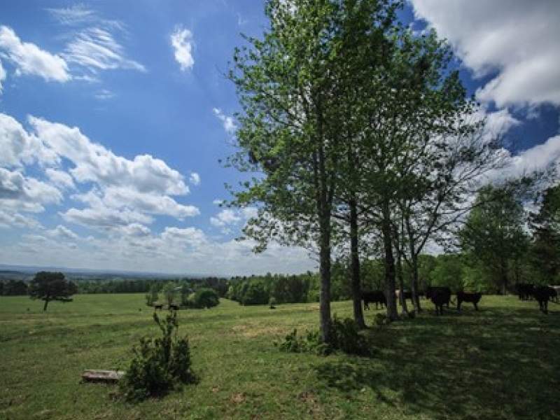 Image for Bald H Farm