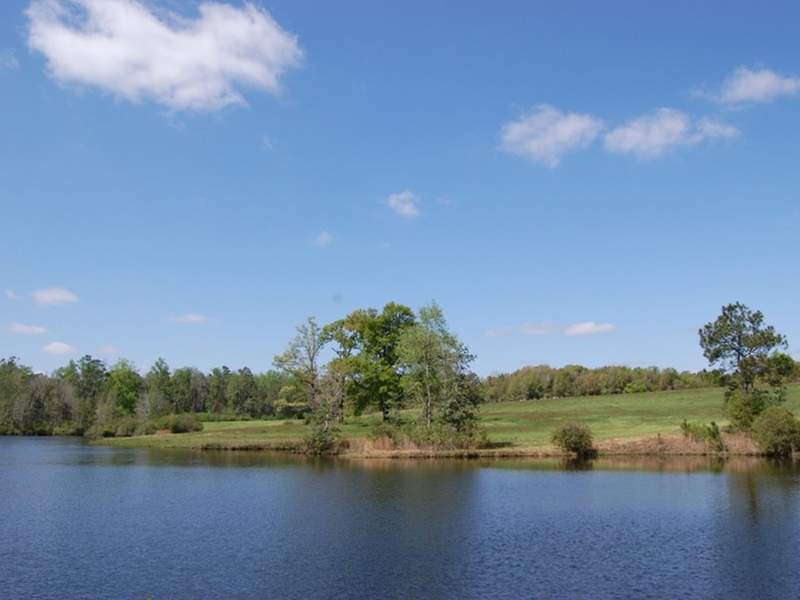 Image for Georgia Executive Retreat