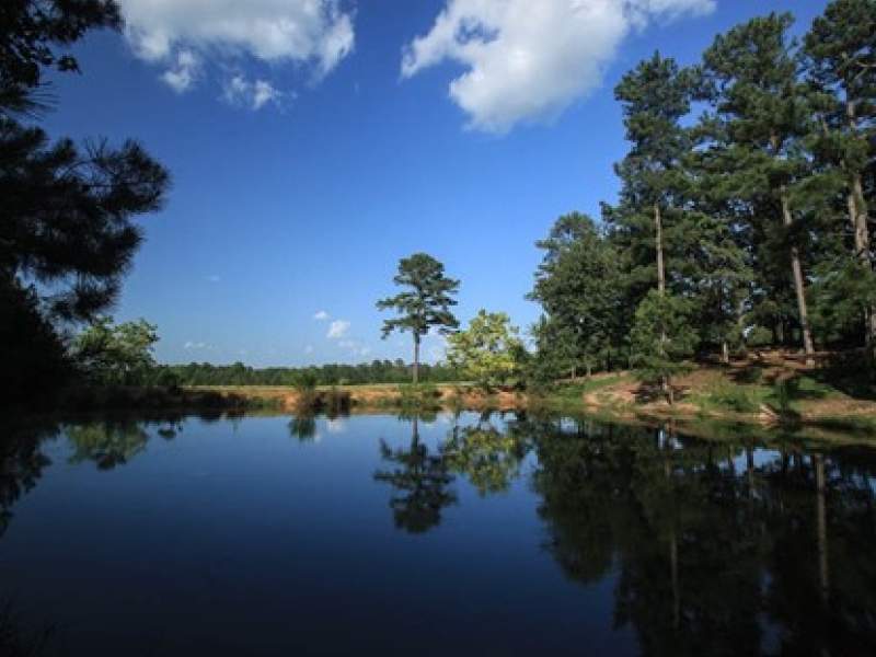 Image for Bell Farm