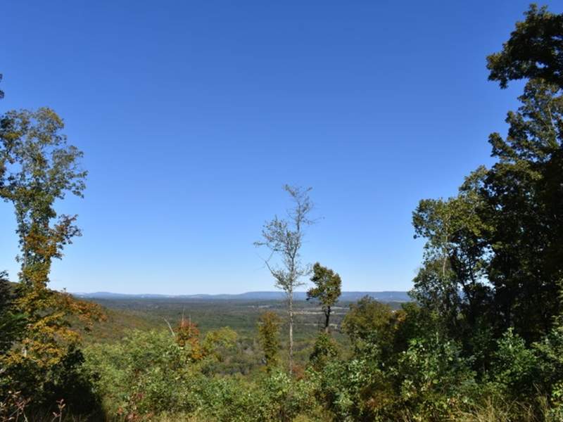 Image for Northeast Alabama Land Sale