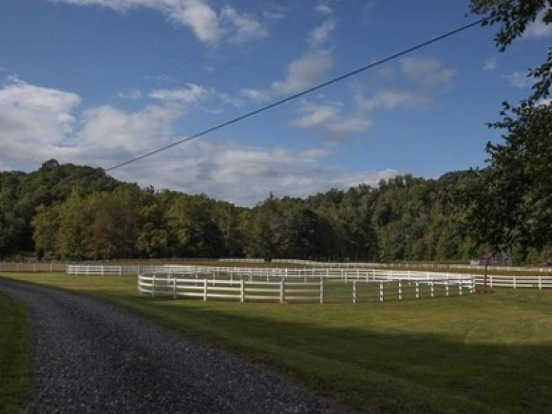 Image for Davis Estate