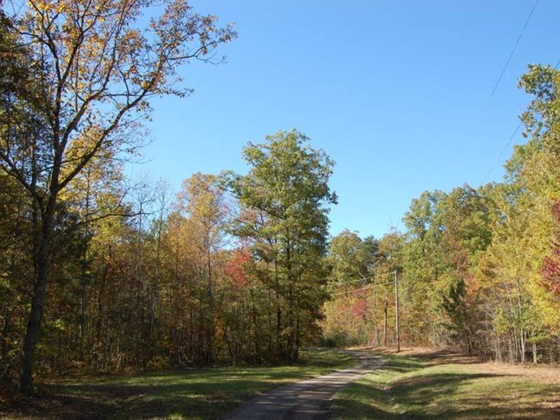 Image for Tennessee Land Sale