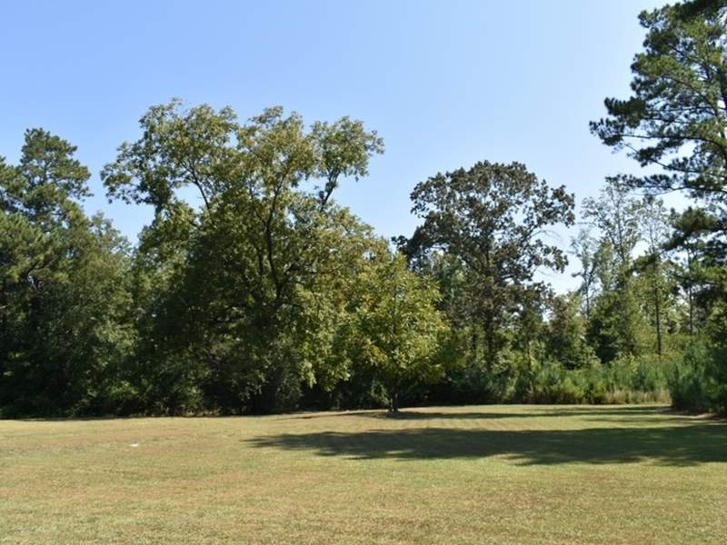 Image for Multi-Property Land Auction in Talladega County, Alabama