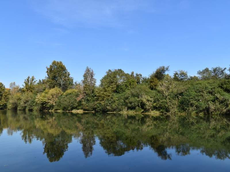 Image for 40 Acres with River Frontage and 8 Acres in Sumiton, Alabama